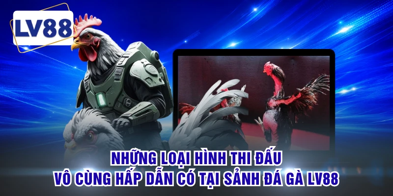 Những loại hình thi đấu vô cùng hấp dẫn có tại sảnh đá gà LV88