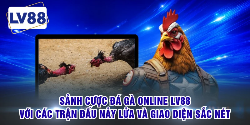 Sảnh cược đá gà online LV88 với các trận đấu nảy lửa và giao diện sắc nét